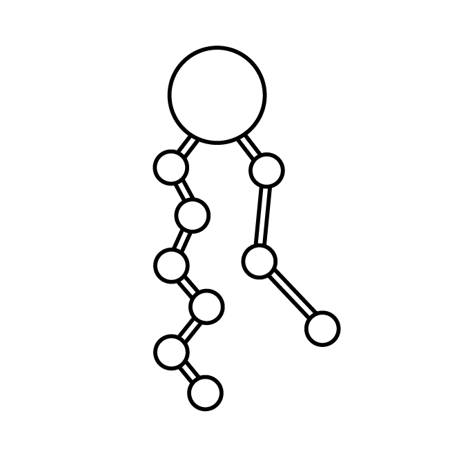 Phospholipids - Nurse Jamie