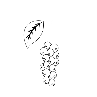 Schizandra Berry